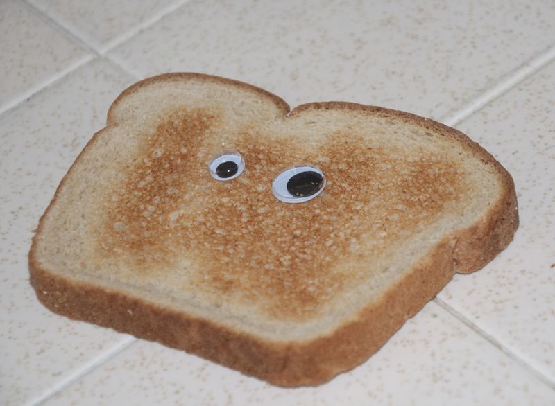 File:A piece of toast with eyes.jpg