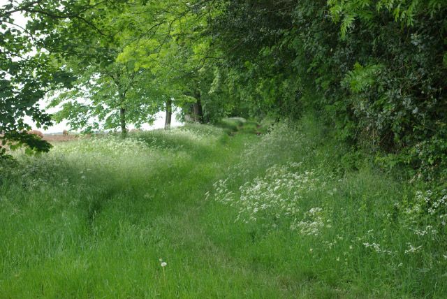 File:Aves Ditch - geograph.org.uk - 439089.jpg