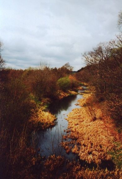 File:Barnsley Canal in Haw Park Woods.jpg