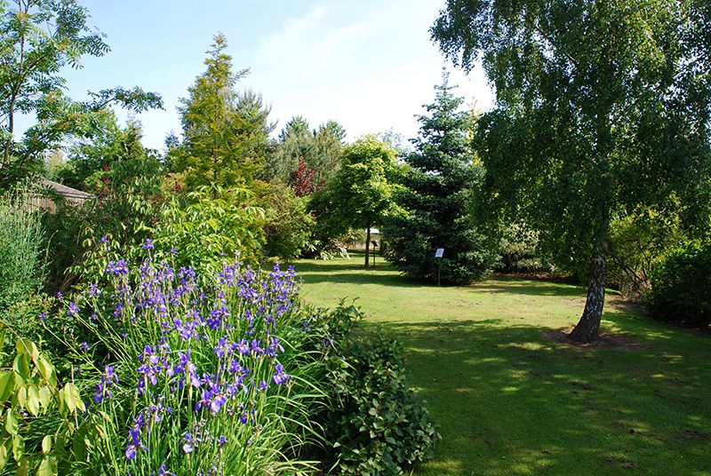 File:Bluebell Arboretum Summer.jpg