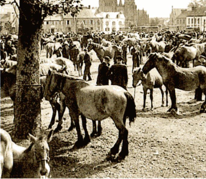 File:Breton horses 1900.jpg