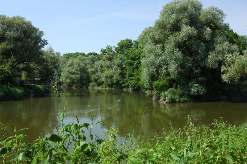 File:Dyje-Morava confluence 01.jpg