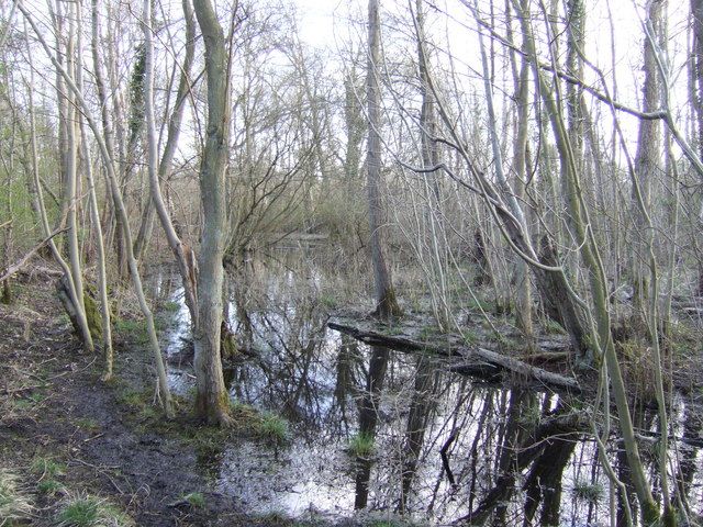 File:Foulden Common - geograph.org.uk - 397662.jpg