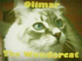 File:Olimarthewondercat.jpg