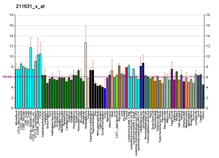 File:PBB GE B4GALT1 211631 x at fs.png