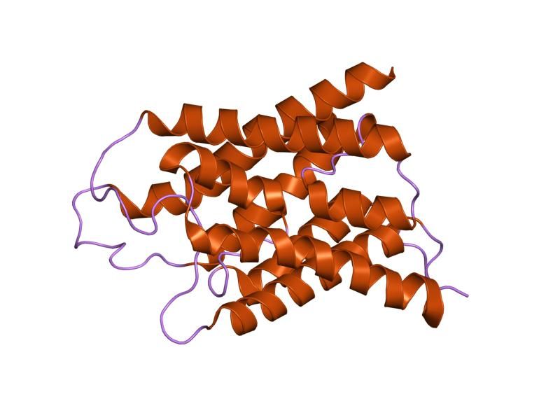 File:PDB 1h6i EBI.jpg