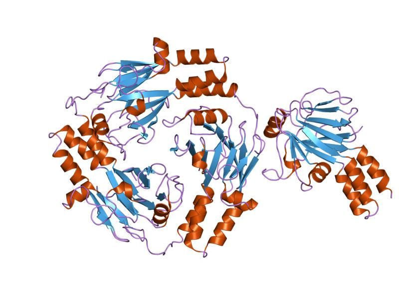 File:PDB 1khu EBI.jpg