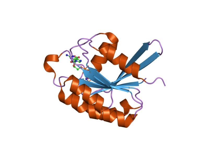 File:PDB 1yzq EBI.jpg