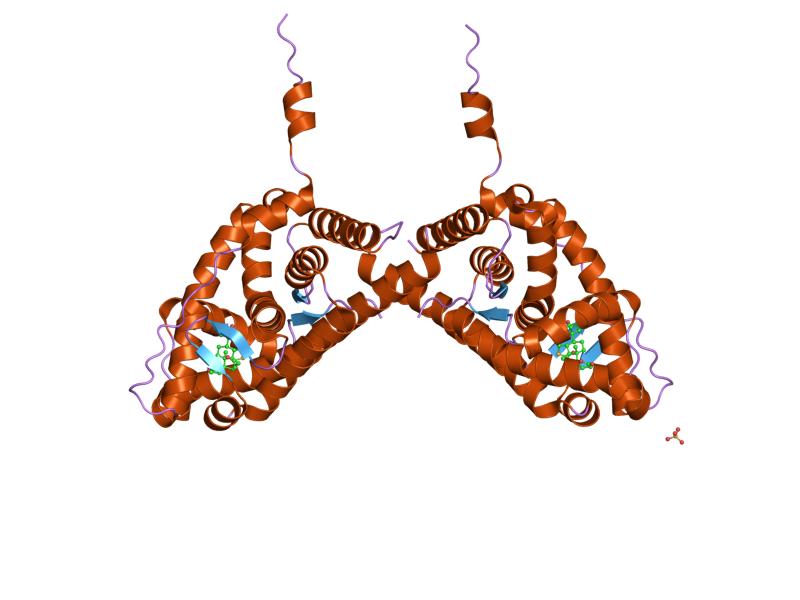 File:PDB 2ab2 EBI.png