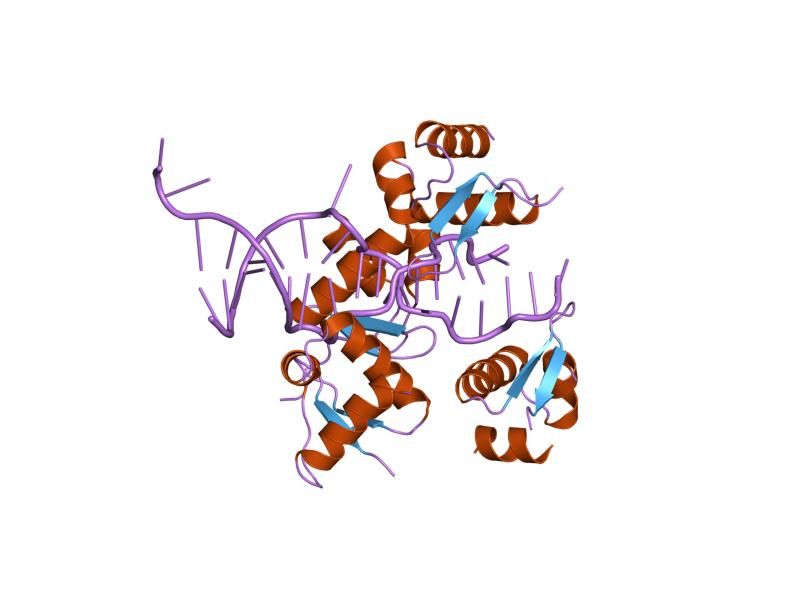 File:PDB 2acj EBI.jpg