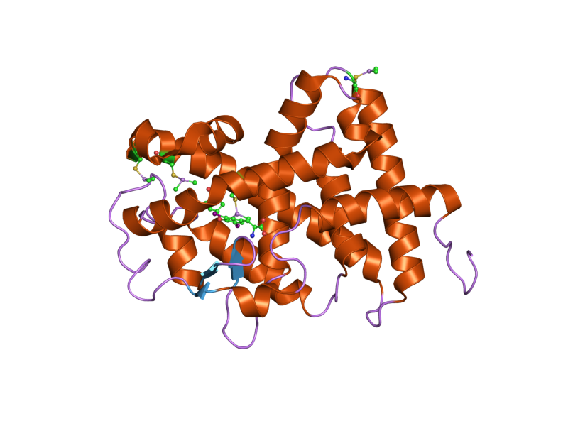 File:PDB 2h77 EBI.png