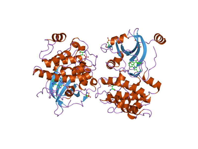 File:PDB 2i0e EBI.png