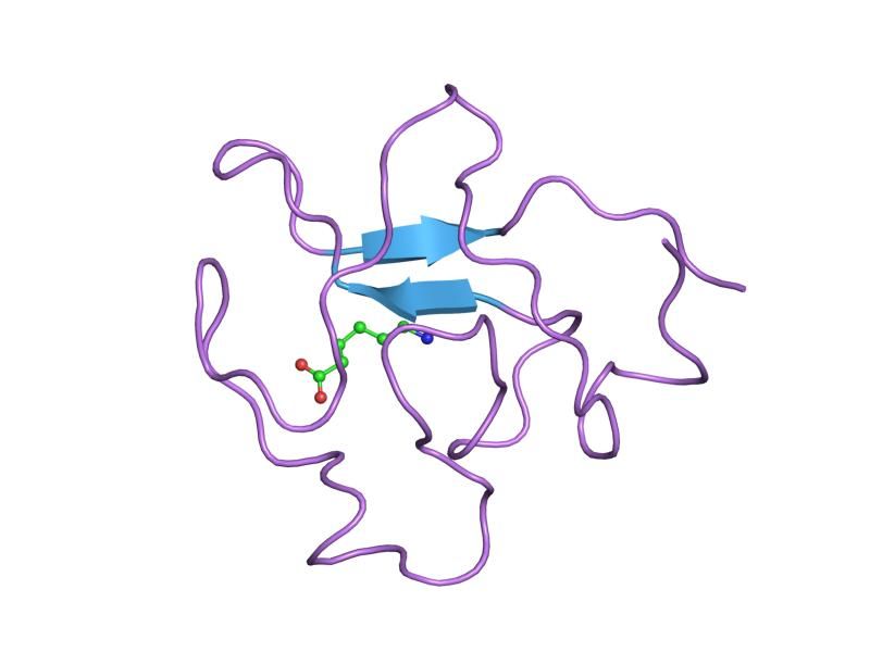 File:PDB 3kiv EBI.jpg