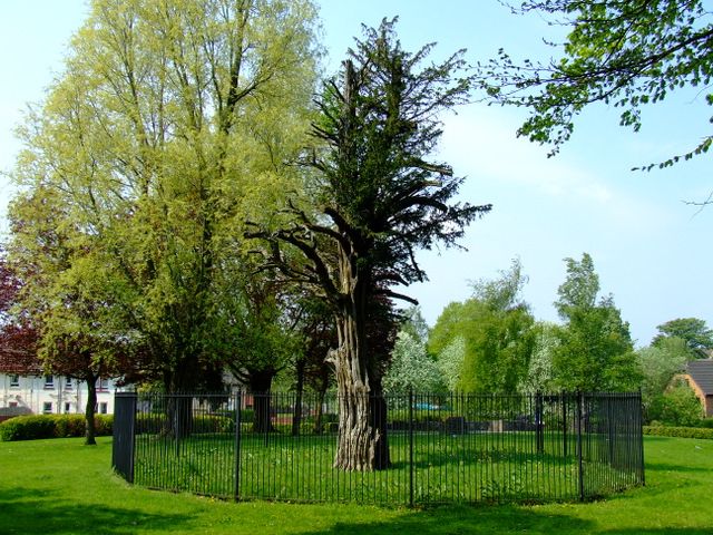 File:The Wallace Monument, Elderslie (geograph 2393343).jpg