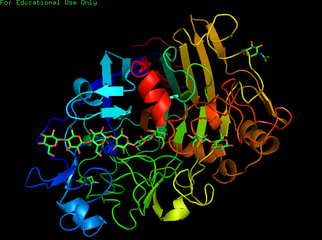 File:CBH1 Structure.PNG