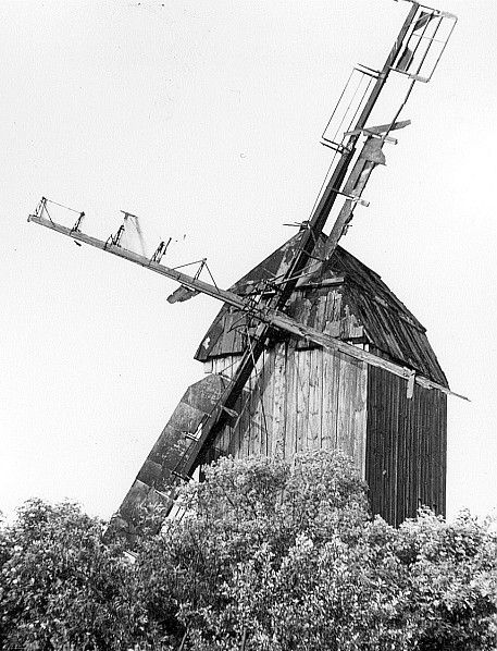 File:Fotothek df rp-a 0360077 Niedere Börde-Meseberg. Bockmühle.jpg