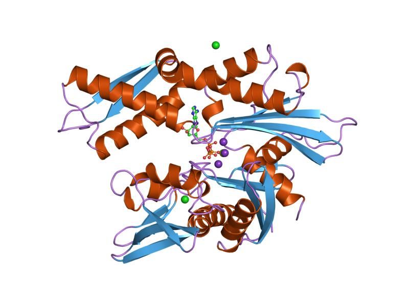 File:PDB 1kax EBI.jpg