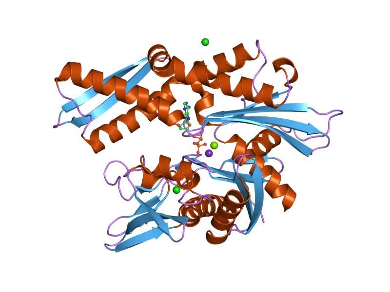 File:PDB 1qqo EBI.jpg