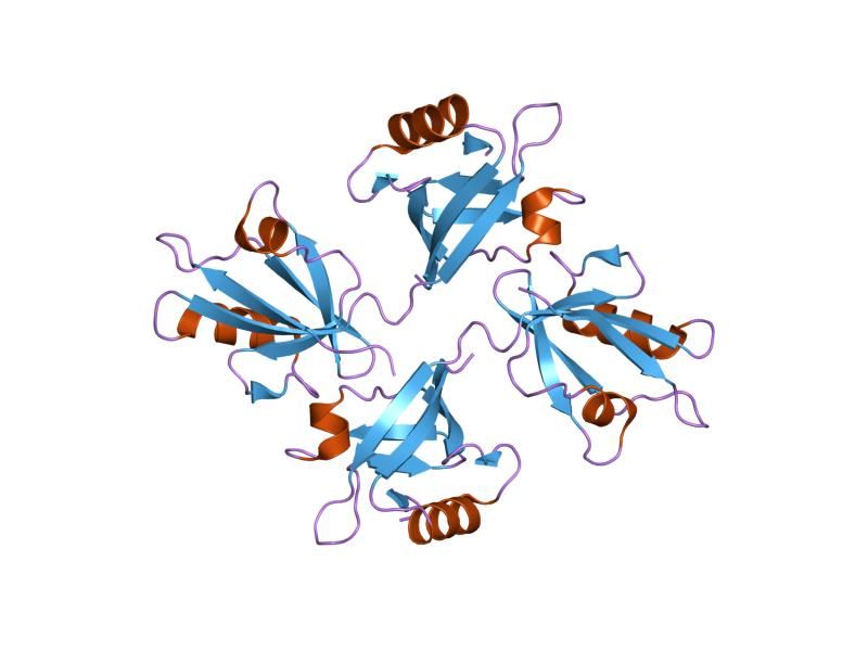 File:PDB 1ybo EBI.jpg