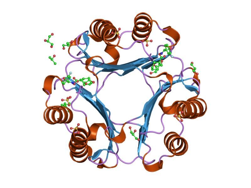 File:PDB 2oow EBI.jpg