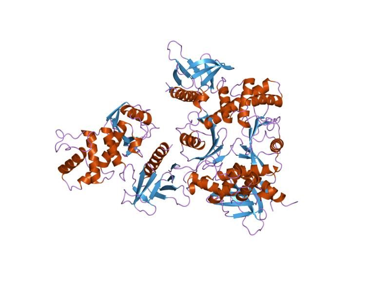 File:PDB 2yvc EBI.jpg