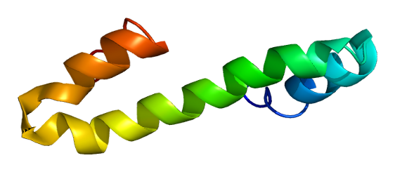 File:Protein RTN4 PDB 2g31.png