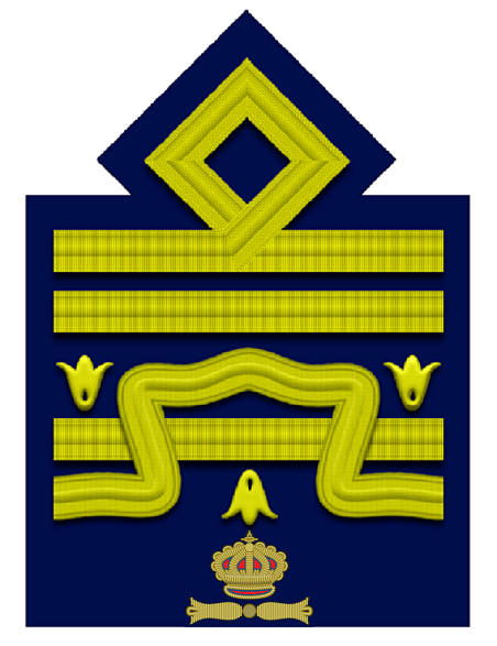 File:RA-Generale designato di armata aerea.png