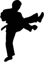 File:Shadow Karate Kick.jpg