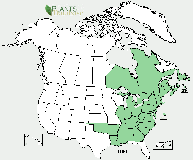 File:Thelypteris noveboracensis distribution USDA.png