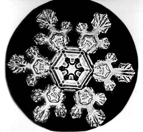 File:Bentley Snowflake11.jpg