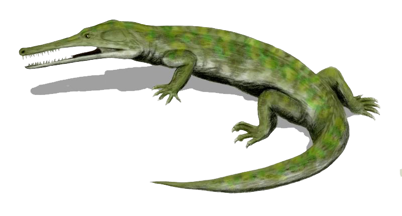 File:Champsosaurus BW.png