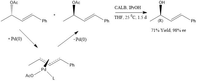 File:DKR 8.jpg