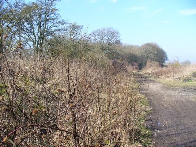 File:Harrow Way - geograph.org.uk - 697782.jpg