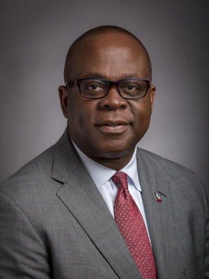 File:Johnson O. Akinleye, Ph.D.jpg