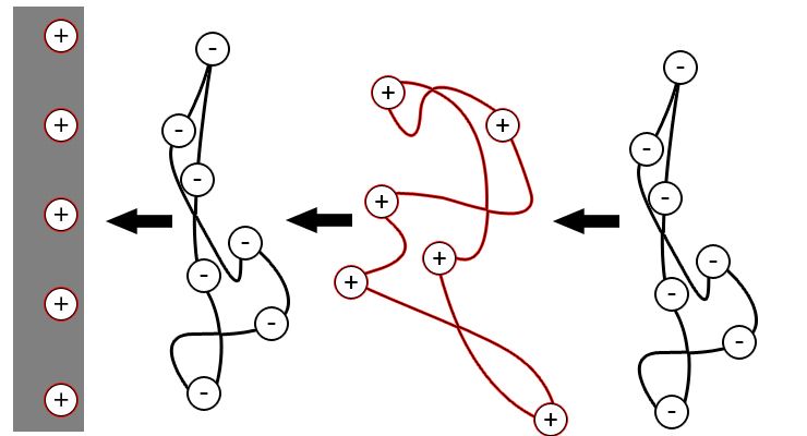 File:Layer-by-Layer Adsorption.jpg