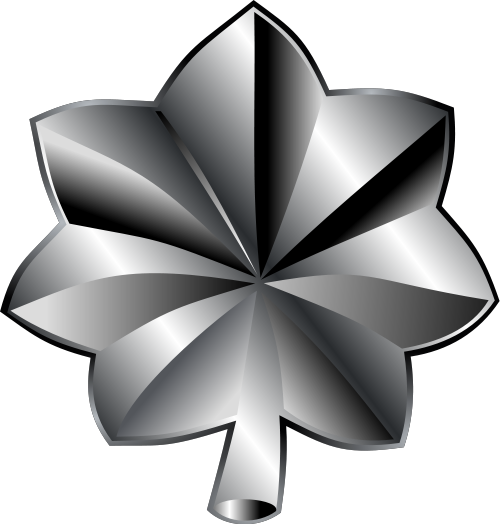 File:Lieutenant Colonel insignia.png