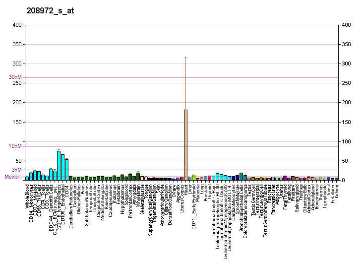 File:PBB GE ATP5G1 208972 s at fs.png