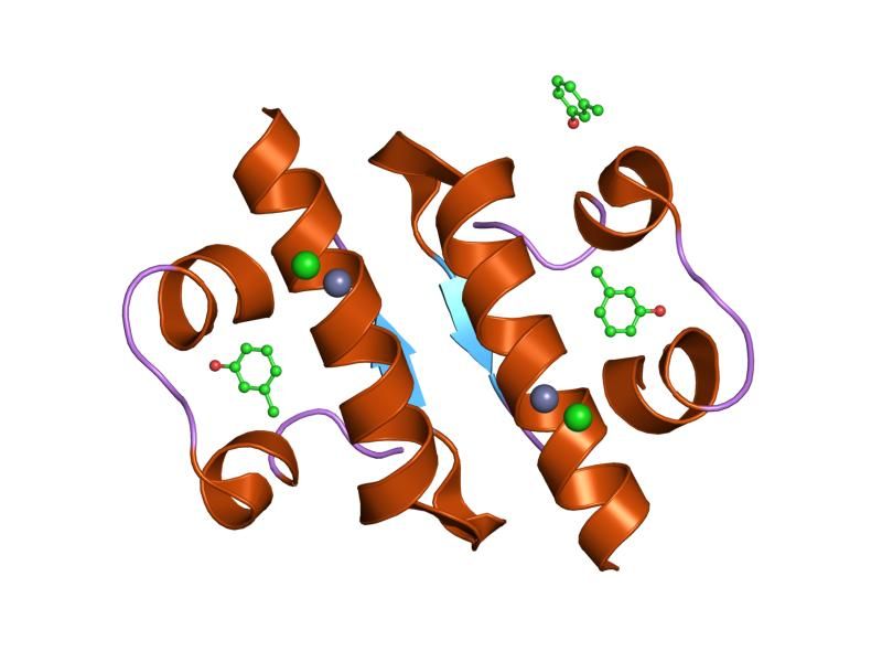 File:PDB 1ev3 EBI.jpg