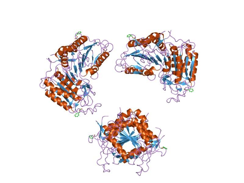 File:PDB 1f9e EBI.jpg