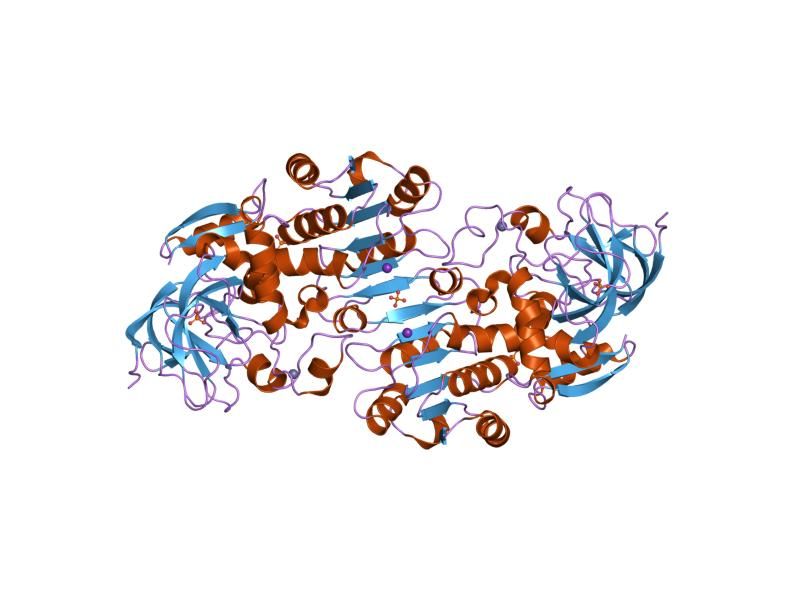 File:PDB 1m6h EBI.jpg