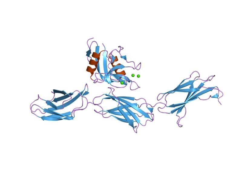 File:PDB 1tdq EBI.jpg