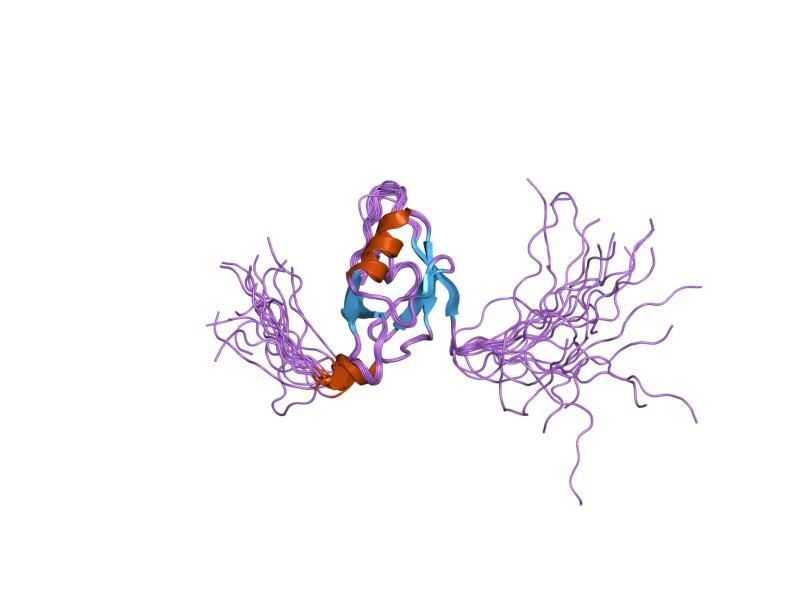 File:PDB 1x5n EBI.jpg