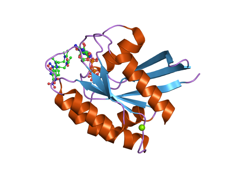 File:PDB 2cl7 EBI.png