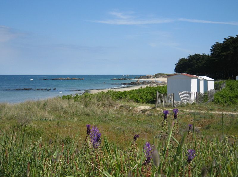 File:Ile-d-yeu-plage-des-sapins.jpg