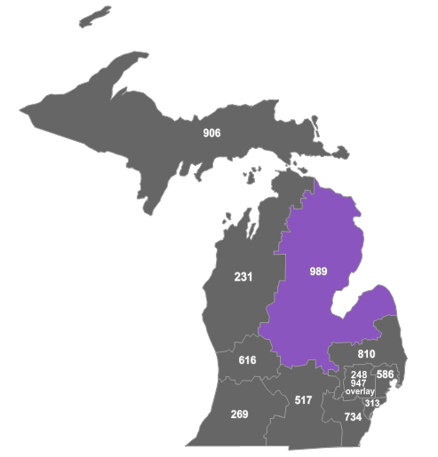 File:MI area code 989.png