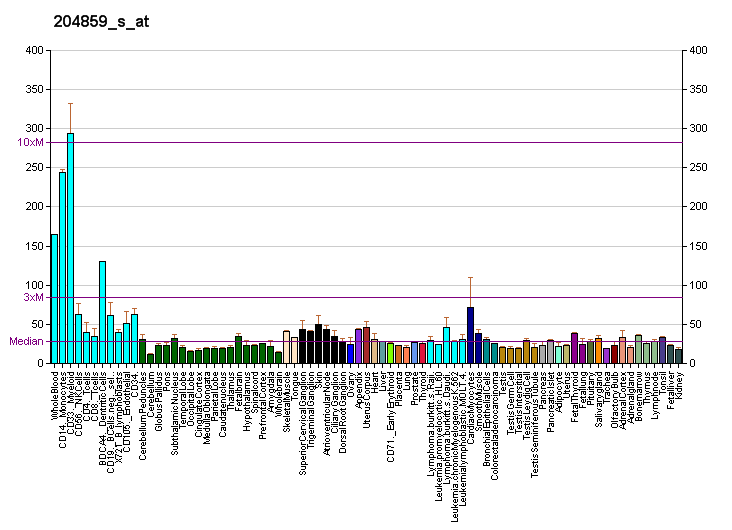 File:PBB GE APAF1 204859 s at fs.png