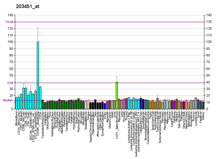 File:PBB GE LDB1 203451 at fs.png