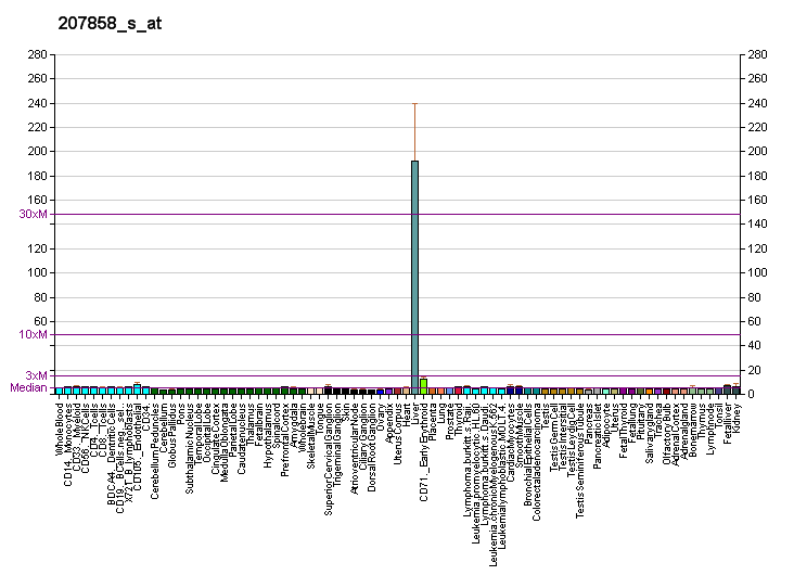 File:PBB GE PKLR 207858 s at fs.png