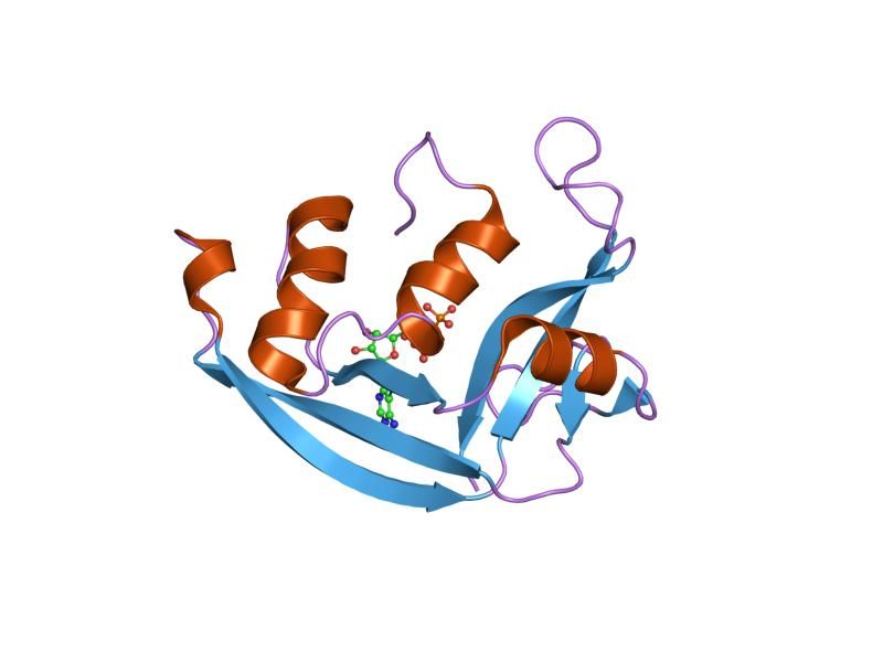 File:PDB 1hi5 EBI.jpg