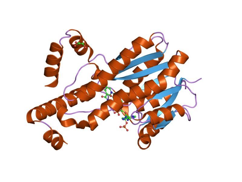 File:PDB 1qyv EBI.jpg